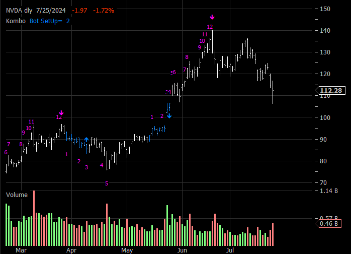 NVDA Daily Combo
          Chart